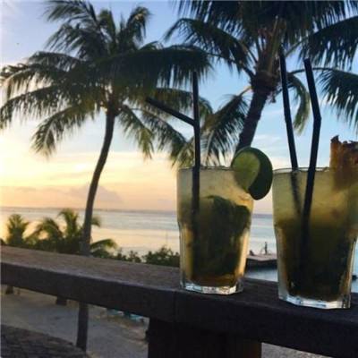 炸金花单机游戏手机app下载